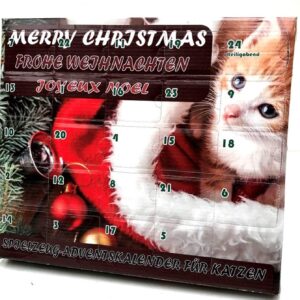 Katzenspielzeug Adventskalender für Katzen Weihnachten